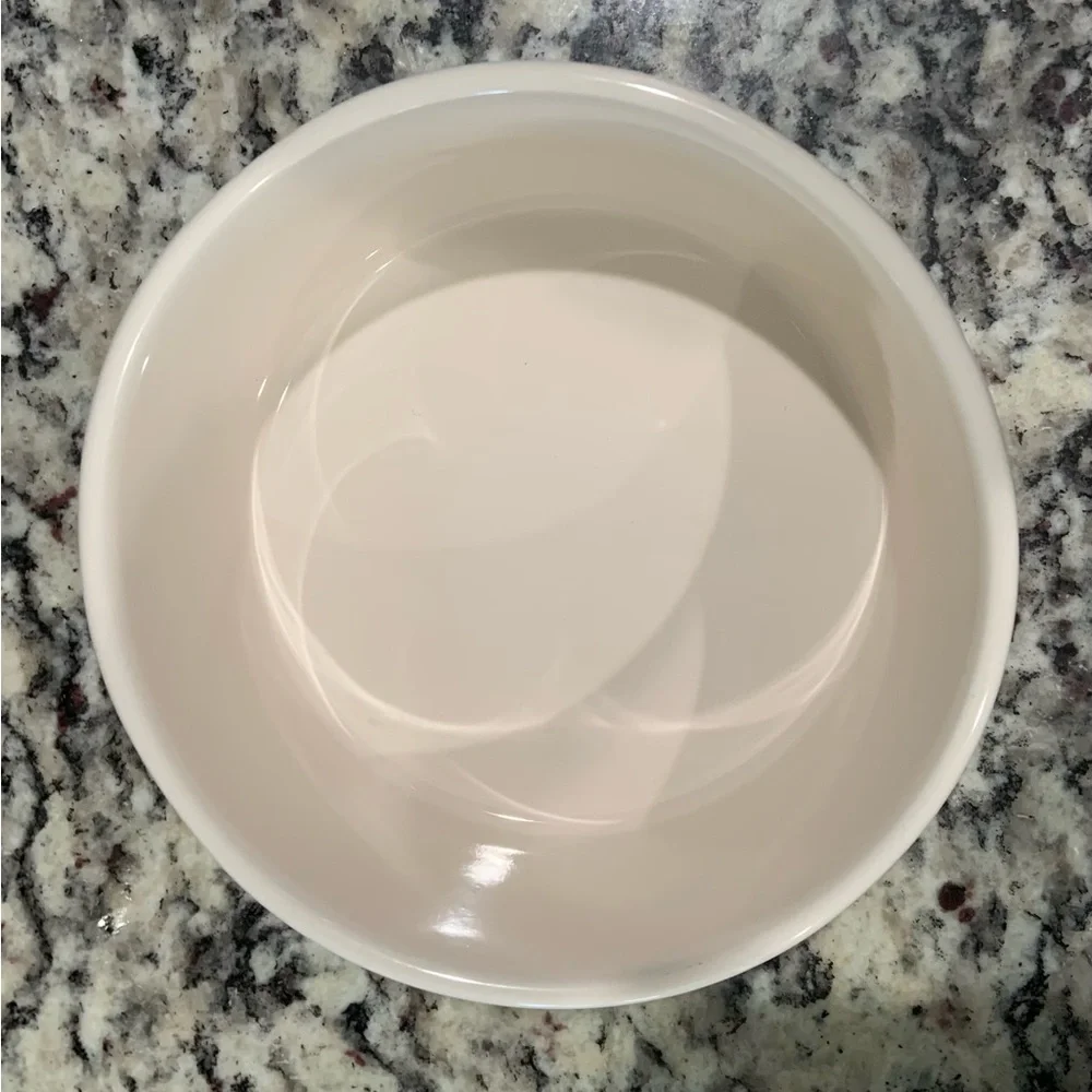 🐶 Rae Dunn Ceramic Dog Bowl 🐶- EUC